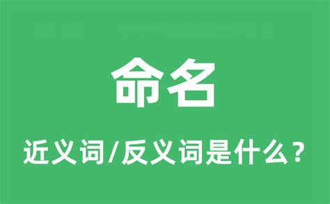 命名意思|命名是什么意思